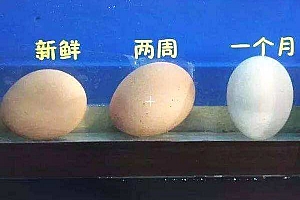 生活小帮手 教你如何鉴别鸡蛋新不新鲜 妙招集合