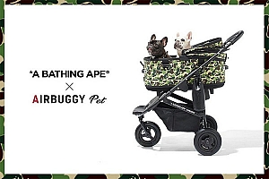 Bape x AIRBUGGY PET 全新联名“宠物豪车”国内上架