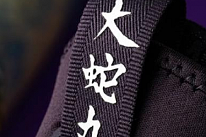 安踏大蛇丸联名天猫店上架 安踏gh2大蛇丸开箱测评