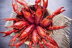 小龙虾重金属含量高吗 这些部位要牢记拒绝过量